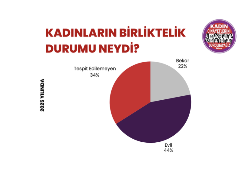 2025'te en az 294 kadın erkekler tarafından katledildi, şüpheli kadın ölümleri ilk kez kadın cinayetlerinin önüne geçti 4